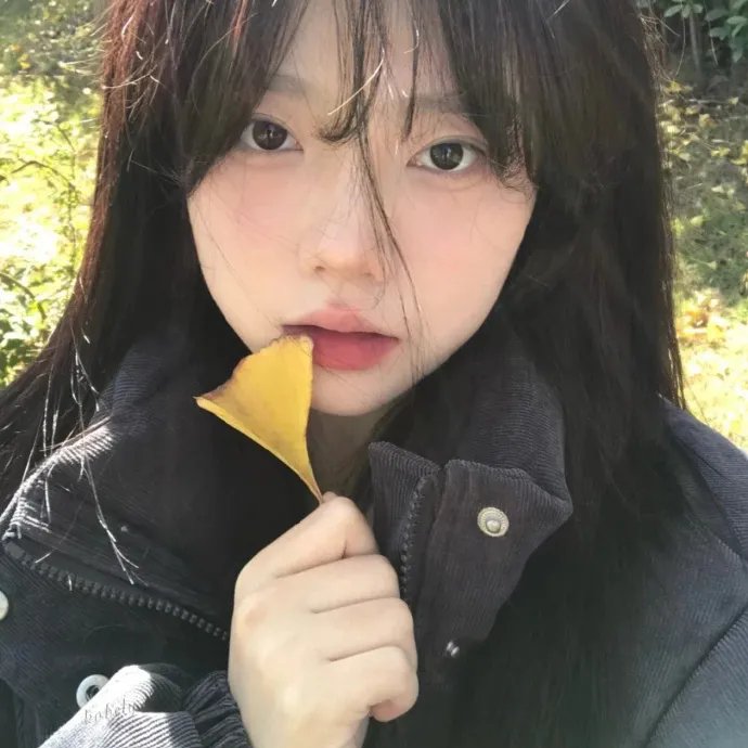 真情给你